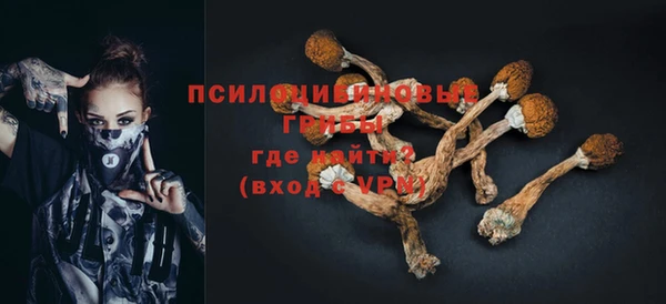 таблы Ельня