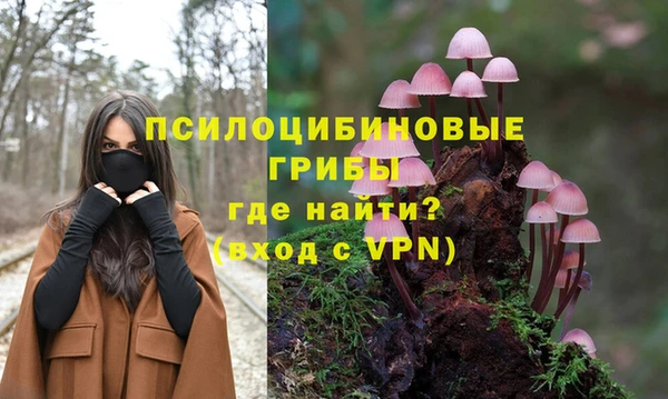 таблы Ельня