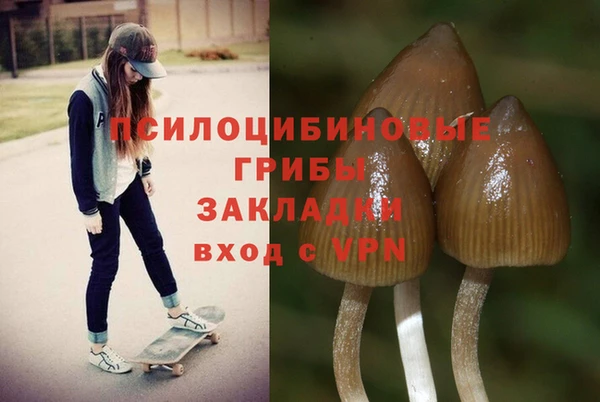дмт Елабуга
