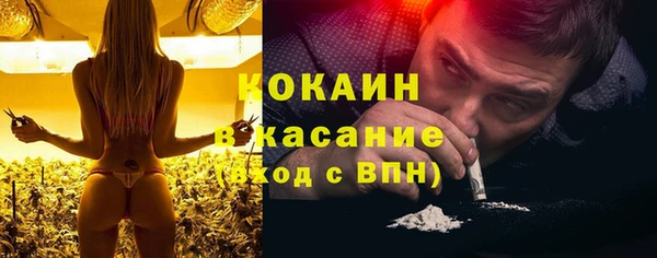 таблы Ельня