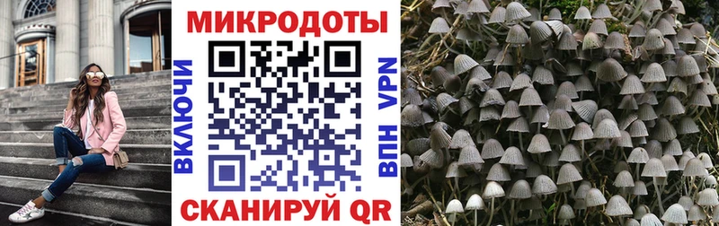 Псилоцибиновые грибы Cubensis Купить где Кимры